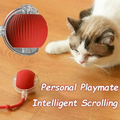 Smart Dog Interactive Ball Toys Automatic Rolling Ball Rechargeable Electric Pet Interactive Toy Dog Cat Training Imitate Mouse