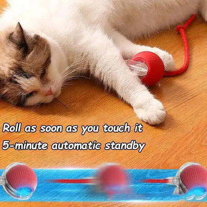 Smart Dog Interactive Ball Toys Automatic Rolling Ball Rechargeable Electric Pet Interactive Toy Dog Cat Training Imitate Mouse